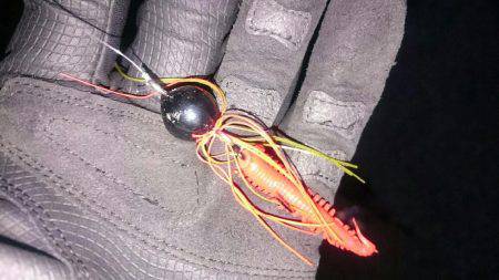 2夜連続チニング釣行in鳴尾