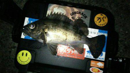 ブルーバック連発！