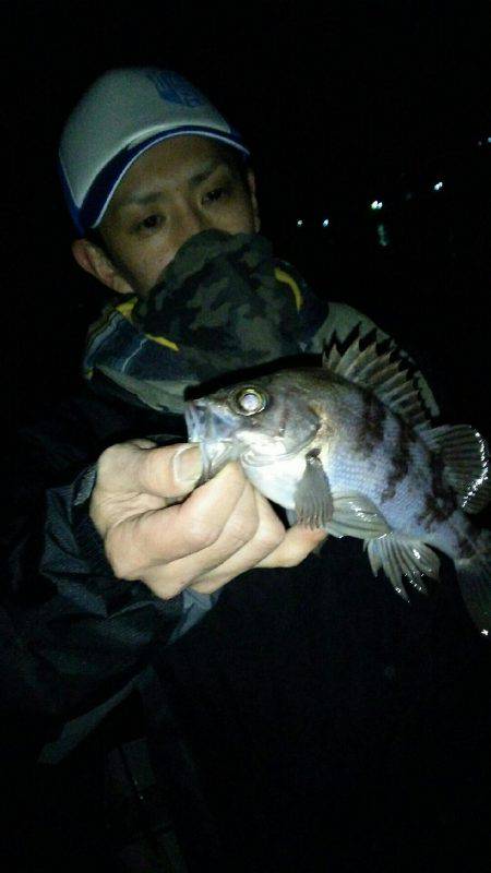 朝マヅメメバリング