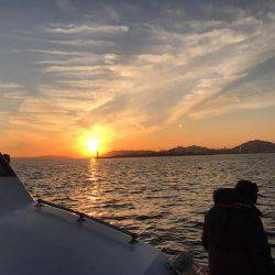 メバル 夜釣り  ポーアイ〜神戸空港