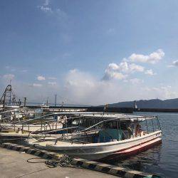 洲本沖  太刀魚 テンヤ