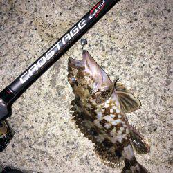 メバリング・ガシリング