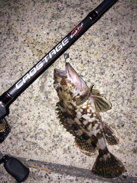 メバリング・ガシリング