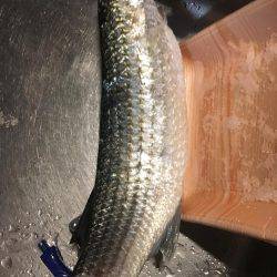 聞いてたのと違う！