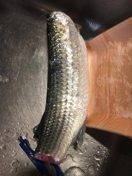 聞いてたのと違う！