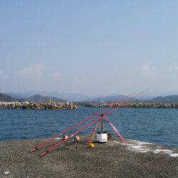 貧果の投げ釣り