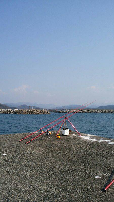 貧果の投げ釣り