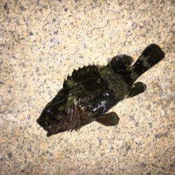 仕事終わりに…