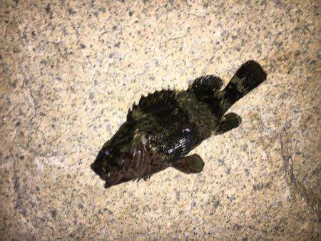 仕事終わりに…