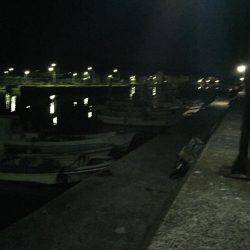 アジング@福良漁港