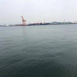 ショアジギング