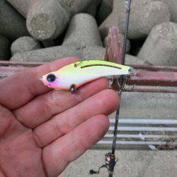 本命キタコレ!!