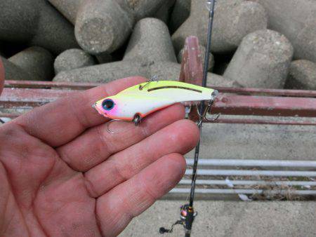 本命キタコレ!!