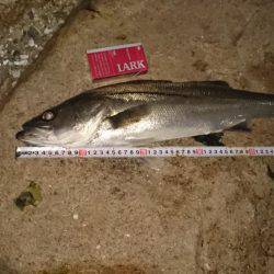 ご近所メバリング