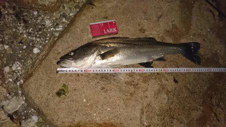 ご近所メバリング