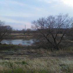 久しぶりの釣果