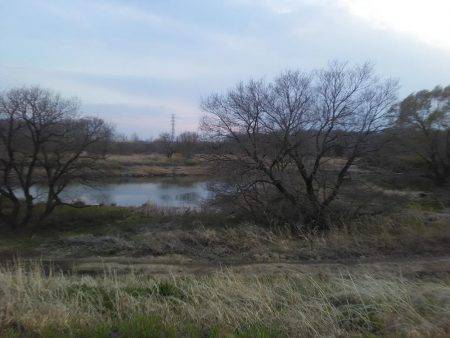 久しぶりの釣果