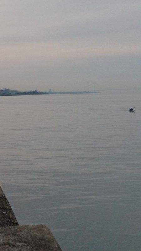 久しぶりのタコ