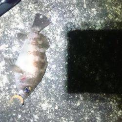 よくなってきたかな?