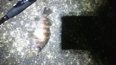 よくなってきたかな?