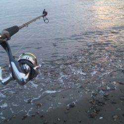 ショアジギング釣行