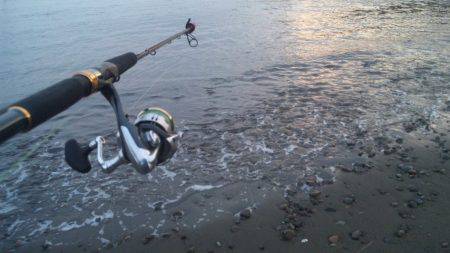 ショアジギング釣行