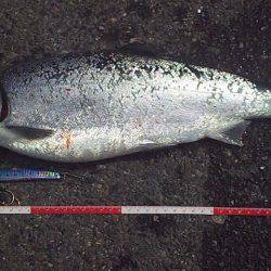 今だけの特別な時間