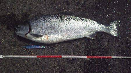 今だけの特別な時間