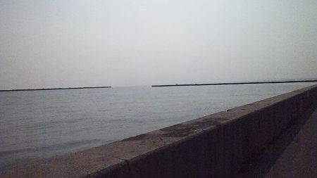 サゴシの数釣り