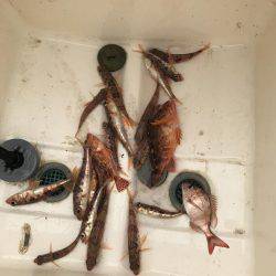 マイボート釣行