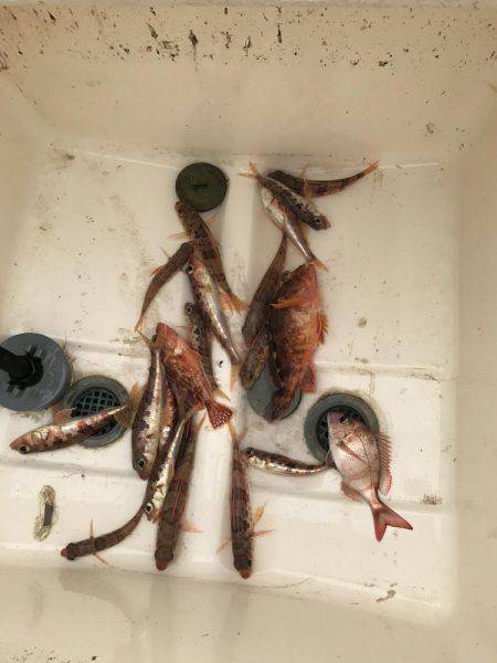 マイボート釣行