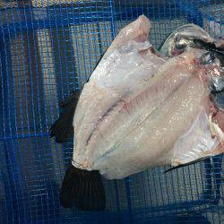 仕事帰りにメバリング