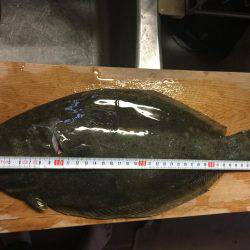 2017 釣り部活動開始です。