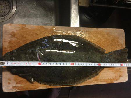 2017 釣り部活動開始です。