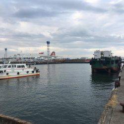 マイクロベイトパターン?