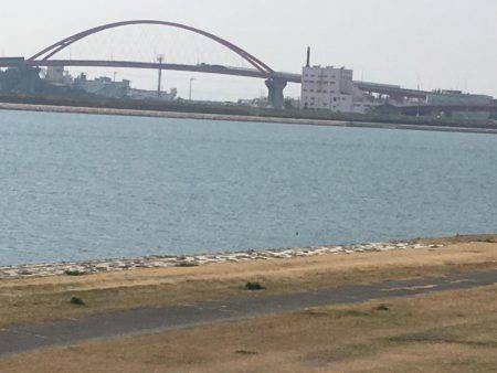 釣り上げるまでわからんなぁ。