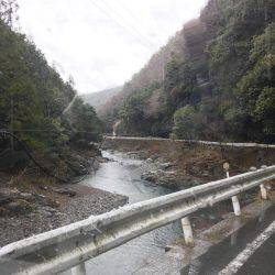 雨でポツポツ釣れました