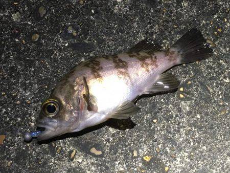 何てシブいんだ！