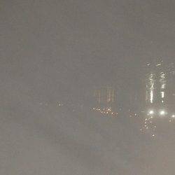 何とかゲット！