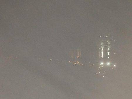 何とかゲット！