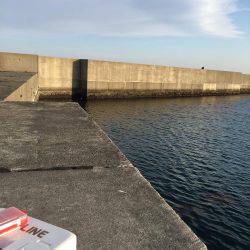 デイメバリング