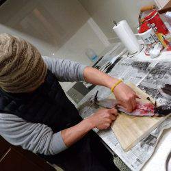 アジアナゴヤガラ