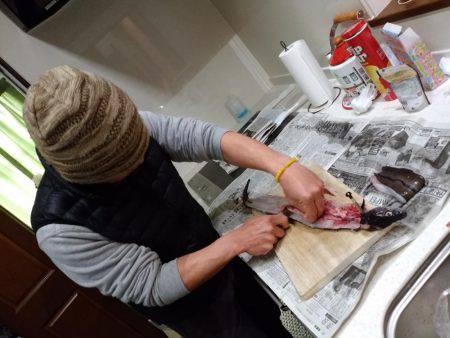 アジアナゴヤガラ