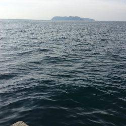 こましなガシラ