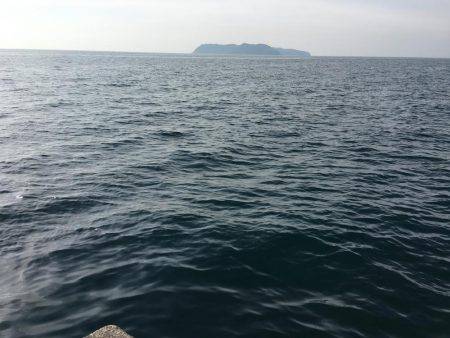 こましなガシラ