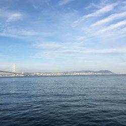 メバルとがしら