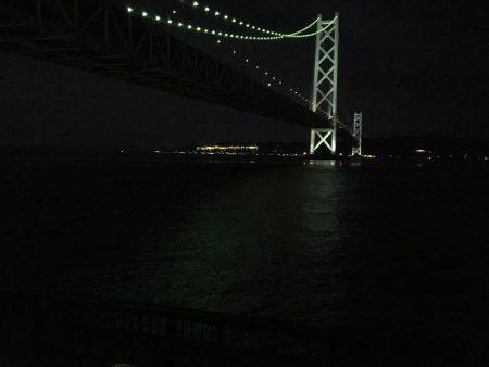 満潮前後でメバル