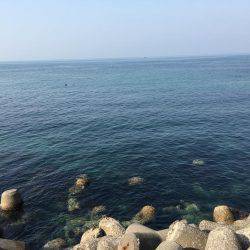 ガシラオンリー