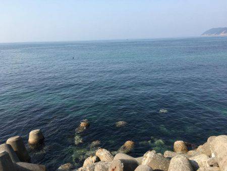 ガシラオンリー