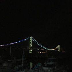 狙いのサイズが！